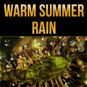 Warm Summer Rain - Water Sounds for Relaxation, Singing Birds for Spa, Ocean Sounds for Yoga & Meditation