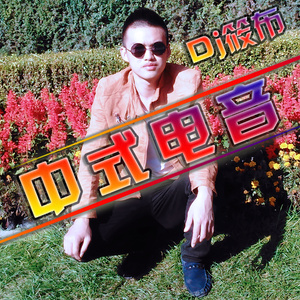 全中文中式电音发烧车载靓碟 (DJ版)