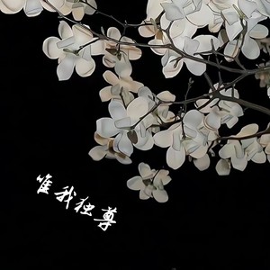 唯我独尊 (霸道版)