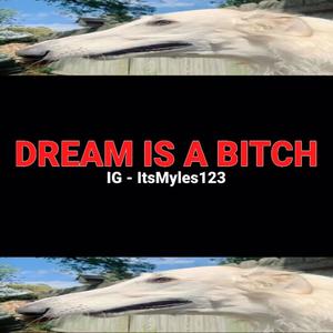 DREAM IS A *****(feat. MylesCoolGuy)