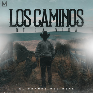 Los Caminos de la Vida