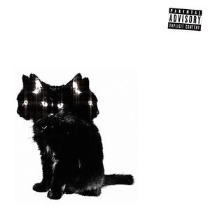 WMSA (feat. Bandsxo!) (Explicit)