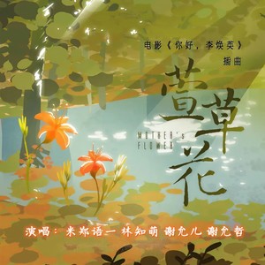 萱草花