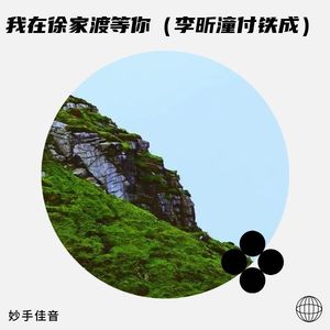 我在徐家渡等你 (伴奏)
