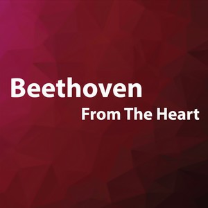 String Quartet No. 13 in B-Flat Major, Op. 130 - 5. Cavatina. Adagio molto espressivo