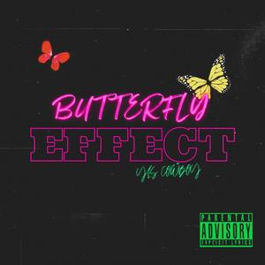 Butterfly Effect (Explicit)