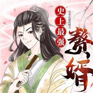 史上最强赘婿