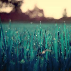 Embrace of Earth and Weeping Sky