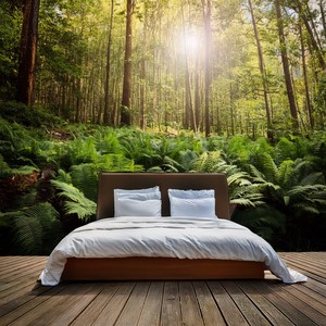 Let The Night Guide You To Rest