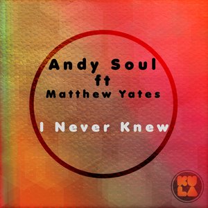 I Never Knew (Audiometrics Stings N Keys Remix)