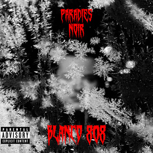 Paradies Noir (Explicit)