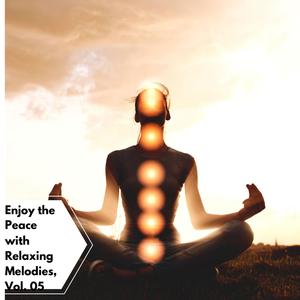 Enjoy The Peace With Relaxing Melodies, Vol. 05