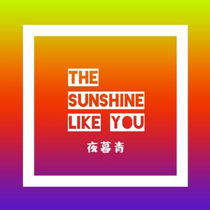 The Sunshine Like You