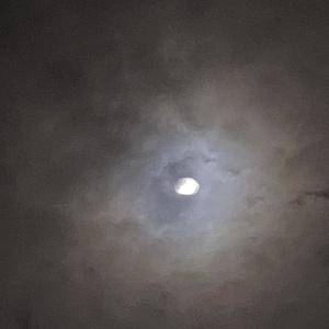 Jeiko - Drunk (Explicit)