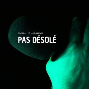 Pas désolé (feat. Aqb-$tudio) [Explicit]