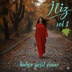 Bahçede Yeşil Çınar Vol1