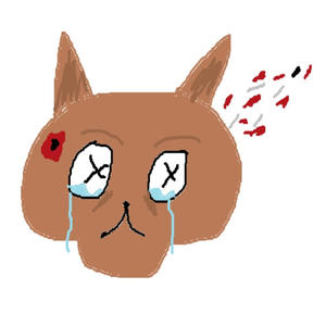 i am not the one for u