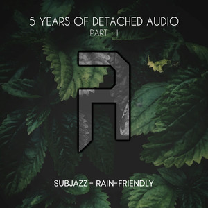 Rain-Friendly (Original Mix)
