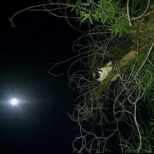 Clearly Unsure (feat. Crescent Cow) (Explicit)