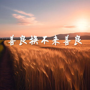 善良换不来善良