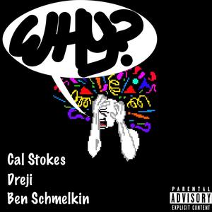 Why? (feat. Dreji & Ben Schmelkin) [Explicit]