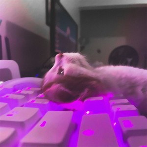 Танцуем (Prod. by LX) (Explicit)