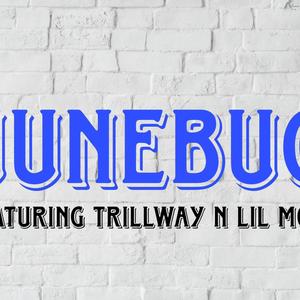 JUNEBUG