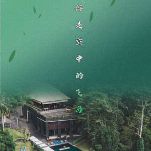你是空中的飞鸟
