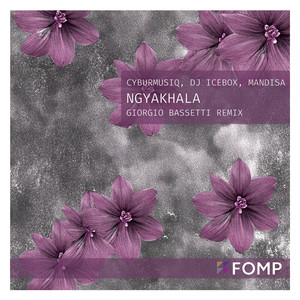 Ngyakhala (Giorgio Bassetti remix)