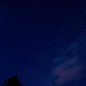 Стесняшка в новой школе