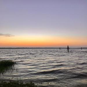 SAVING GRACE(feat. SWANBOI & JIBs)