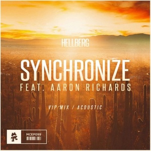 Synchronize (VIP Mix / Acoustic)