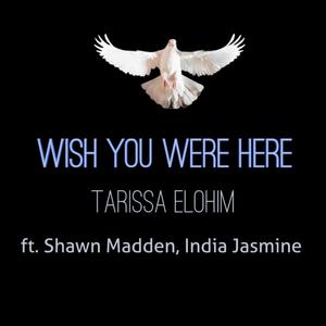 Wish You Were Here (feat. Shawn Madden & India Jasmine) [Explicit]