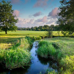 Rombere