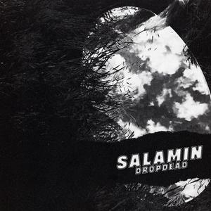 SALAMIN (Explicit)