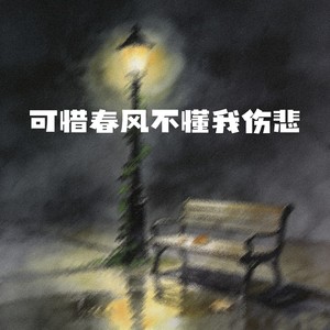 可惜春风不懂我伤悲-烟嗓小飞