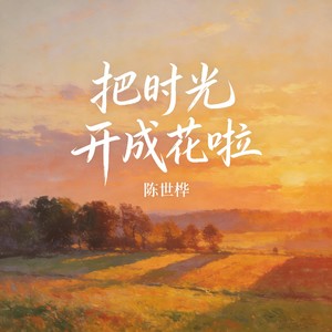 把时光开成花啦封面