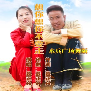 想你想你不要走(水兵广场舞)版