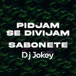 Pidjam, Se Dividjam (feat. Sabonete)