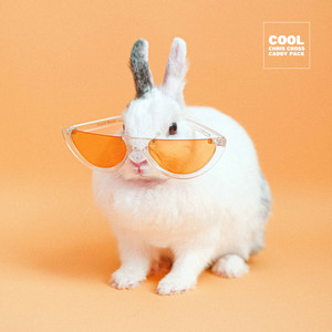 Cool (Remix|Explicit)