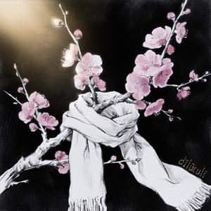 Dīlūculī - Dīlūculī