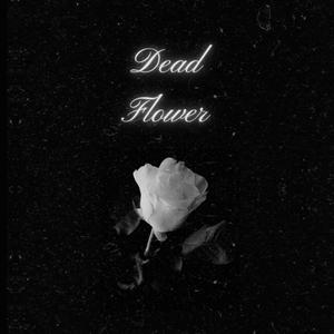 Dead Flower (Explicit)