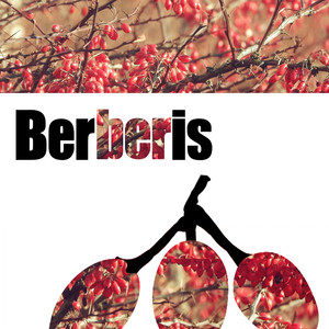 Shout (Original Mix)