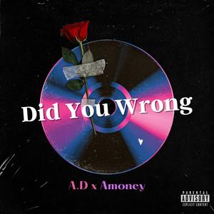 Did You Wrong (feat. Amoney) [Explicit]