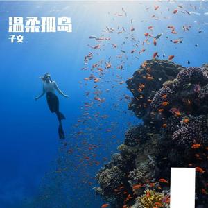 温柔孤岛封面