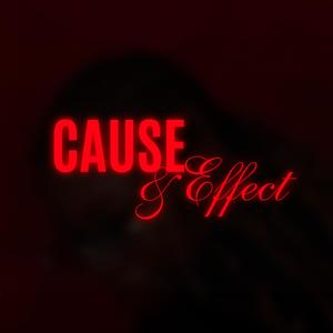 Cause & Effect (feat. Suhn & Anashe) [Explicit]