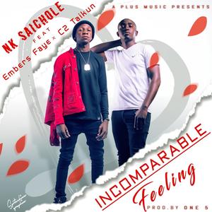 Incomparable feeling (feat. C2 Taikun & Embers Faye)