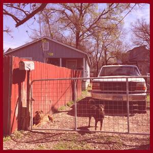 Mrs. Mojo Blues (Explicit)