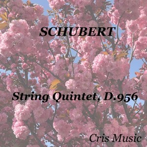 Schubert: String Quintet, D.956