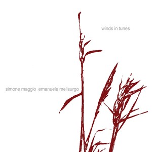 Simone Maggio - La casa dei momenti